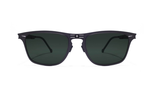 Roav Franklin Black Folding Sunglasses - Holiday Accent Ltd
